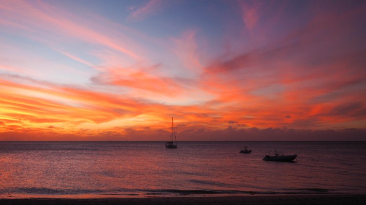 sea-change-travel-blog-eco-lodge-retreat-tonga-swimming-with-humpback-whales-humpbacks-swim-solo-backpacking-haapai-ha'apai