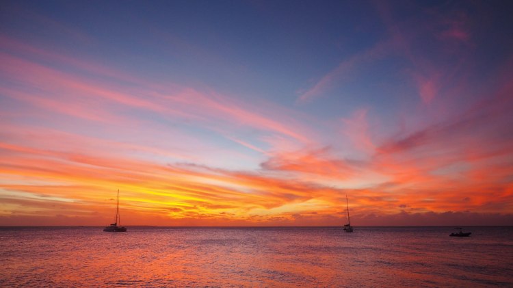 sea-change-travel-blog-eco-lodge-retreat-tonga-swimming-with-humpback-whales-humpbacks-swim-solo-backpacking-haapai-ha'apai