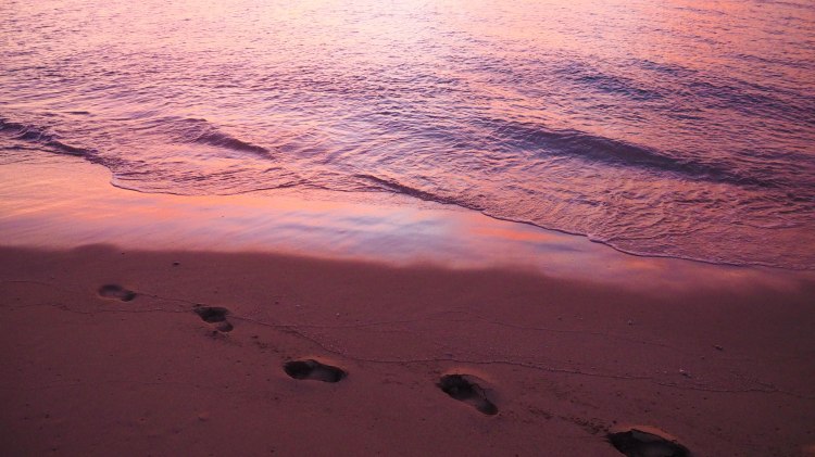 sea-change-travel-blog-eco-lodge-retreat-tonga-swimming-with-humpback-whales-humpbacks-swim-solo-backpacking-haapai-ha'apai