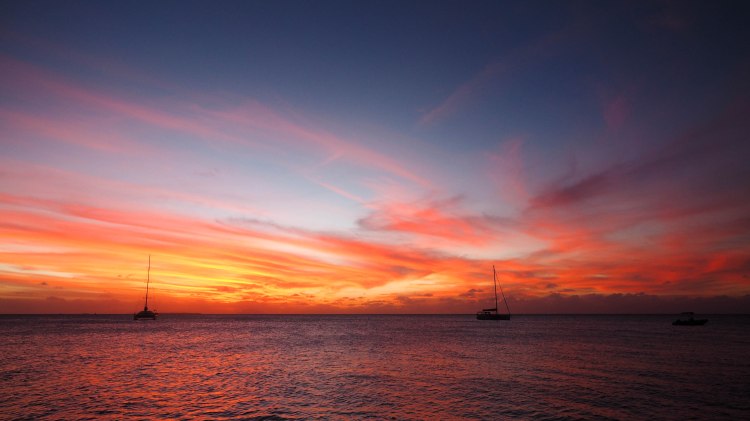 sea-change-travel-blog-eco-lodge-retreat-tonga-swimming-with-humpback-whales-humpbacks-swim-solo-backpacking-haapai-ha'apai