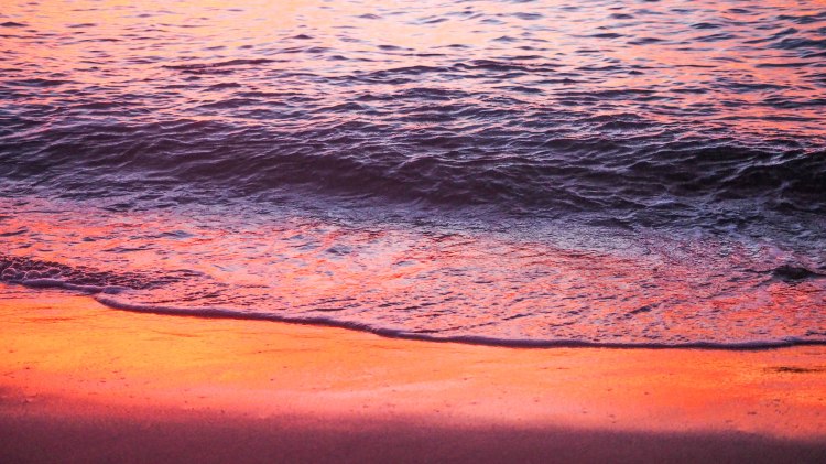 sea-change-travel-blog-eco-lodge-retreat-tonga-swimming-with-humpback-whales-humpbacks-swim-solo-backpacking-haapai-ha'apai