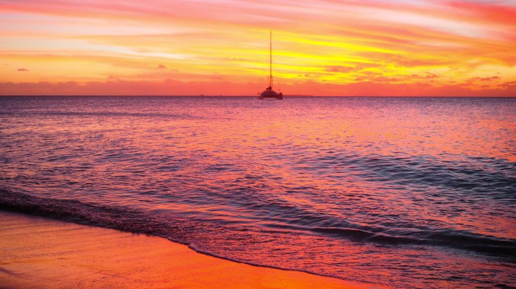 sea-change-travel-blog-eco-lodge-retreat-tonga-swimming-with-humpback-whales-humpbacks-swim-solo-backpacking-haapai-ha'apai