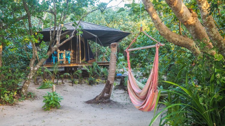 sea-change-travel-blog-eco-lodge-retreat-tonga-swimming-with-humpback-whales-humpbacks-swim-solo-backpacking-haapai-ha'apai