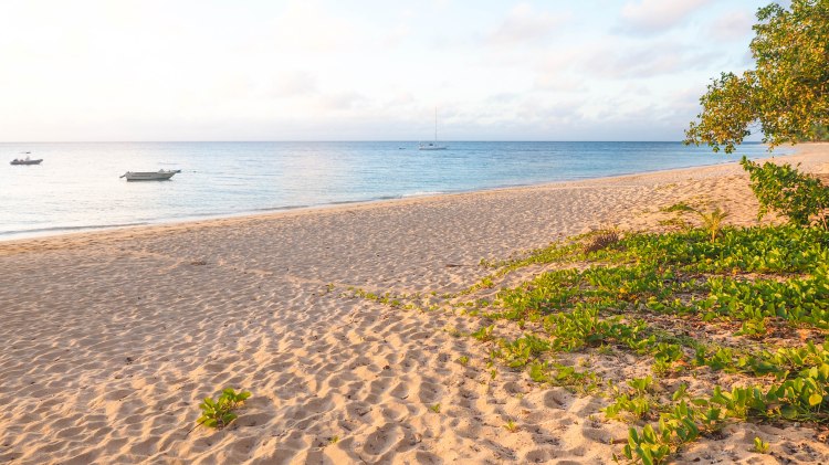 sea-change-travel-blog-eco-lodge-retreat-tonga-swimming-with-humpback-whales-humpbacks-swim-solo-backpacking-haapai-ha'apai