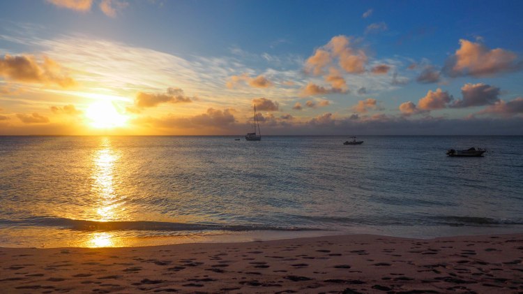 sea-change-travel-blog-eco-lodge-retreat-tonga-swimming-with-humpback-whales-humpbacks-swim-solo-backpacking-haapai-ha'apai