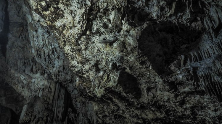 tongatapu-tonga-travel-blog-solo-backpacking-guide