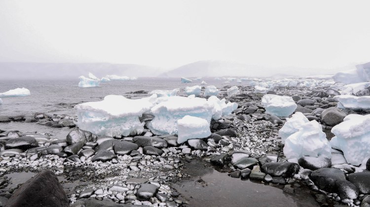 antarctica-travel-blog-solo-oceanwide-expeditions-ortelius-jougla-point-seventh-continent