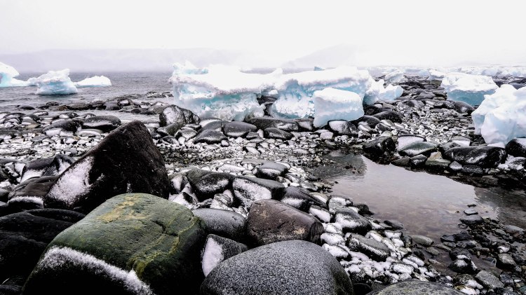 antarctica-travel-blog-solo-oceanwide-expeditions-ortelius-jougla-point-seventh-continent