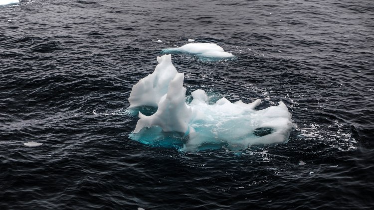 antarctica-travel-blog-solo-oceanwide-expeditions-ortelius-seventh-continent