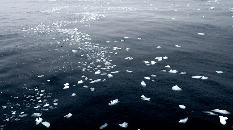 antarctica-travel-blog-solo-oceanwide-expeditions-ortelius-seventh-continent