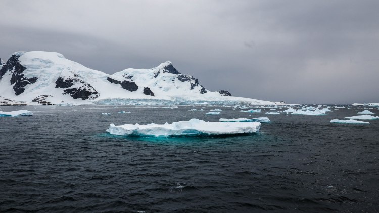 antarctica-travel-blog-solo-oceanwide-expeditions-ortelius-seventh-continent