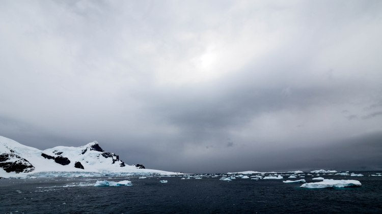 antarctica-travel-blog-solo-oceanwide-expeditions-ortelius-seventh-continent