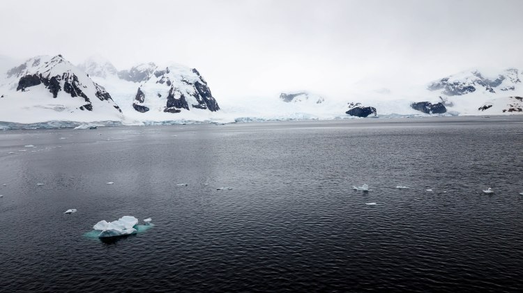 antarctica-travel-blog-solo-oceanwide-expeditions-ortelius-seventh-continent