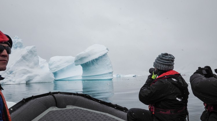 paradise-bay-antarctica-travel-blog-solo-oceanwide-expeditions-zodiac
