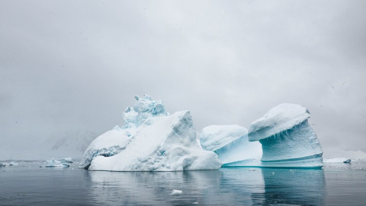 paradise-bay-antarctica-travel-blog-solo-oceanwide-expeditions-zodiac