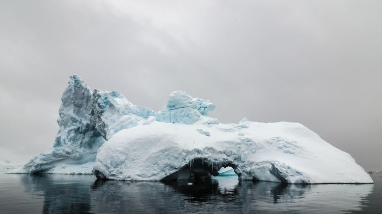 paradise-bay-antarctica-travel-blog-solo-oceanwide-expeditions-zodiac