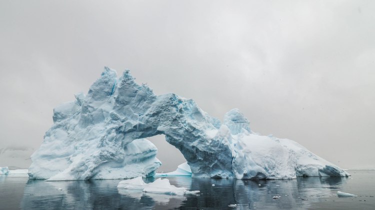 paradise-bay-antarctica-travel-blog-solo-oceanwide-expeditions-zodiac