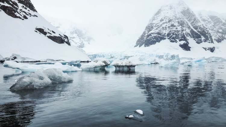 paradise-bay-antarctica-travel-blog-solo-oceanwide-expeditions-zodiac