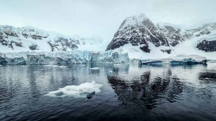 paradise-bay-antarctica-travel-blog-solo-oceanwide-expeditions-zodiac