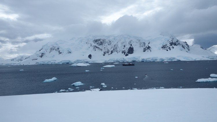 stony-point-antarctica-travel-blog-solo-oceanwide-expeditons