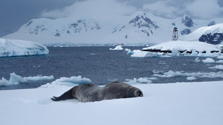 stony-point-antarctica-travel-blog-solo-oceanwide-expeditons