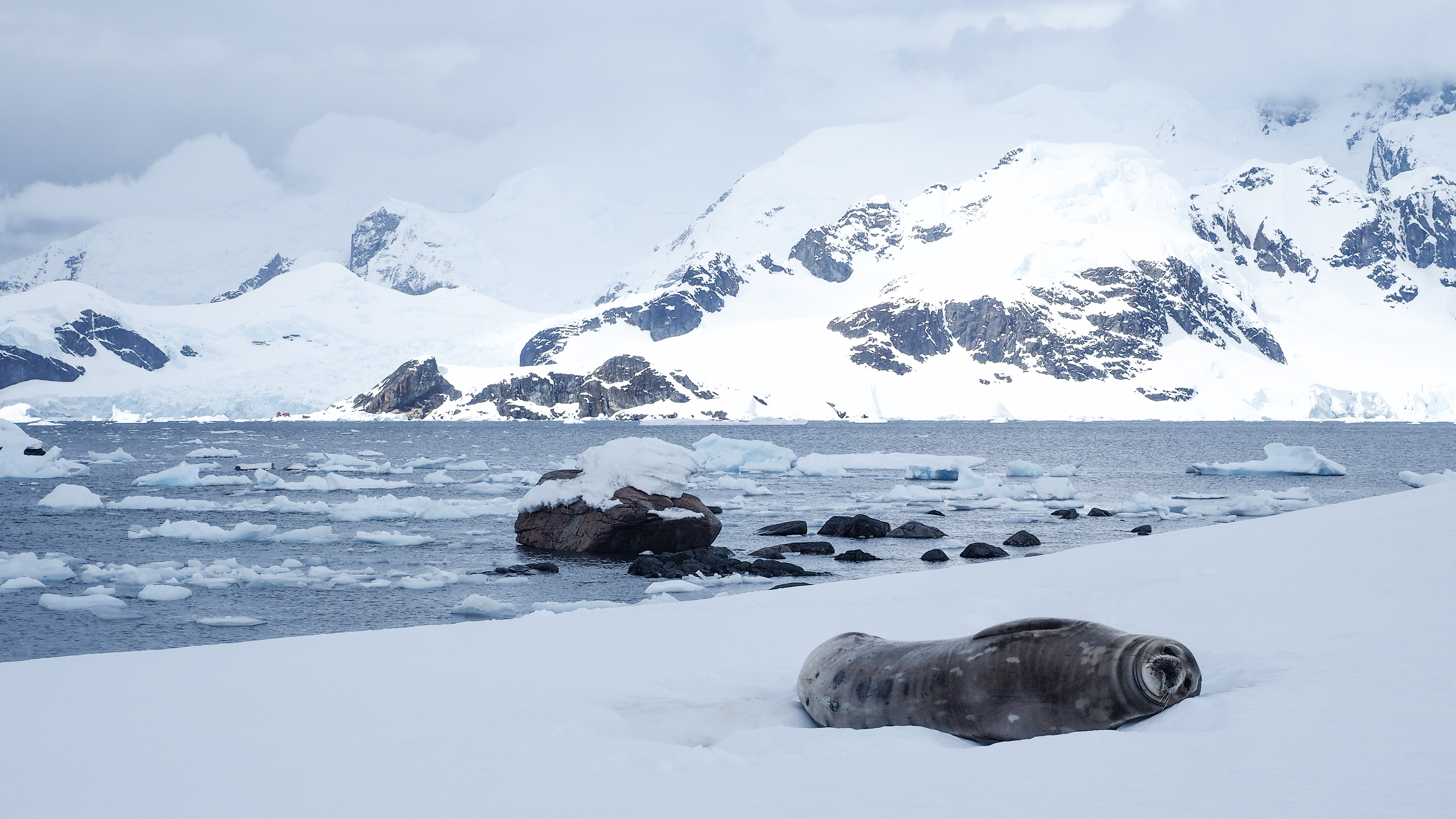 stony-point-antarctica-travel-blog-solo-oceanwide-expeditons