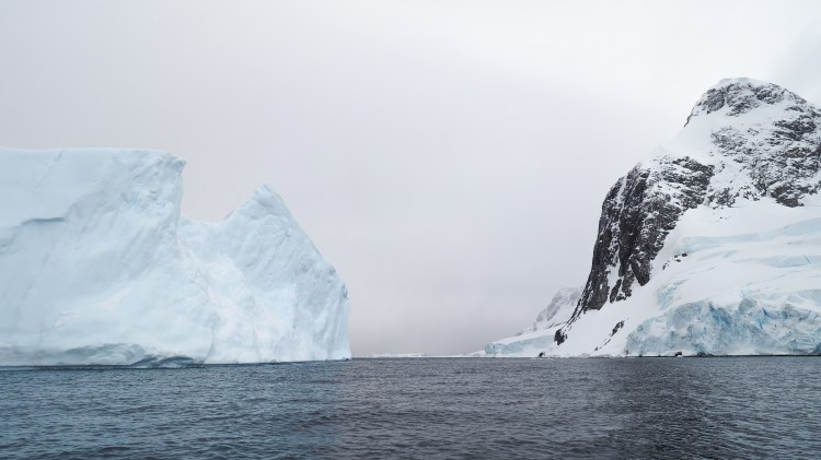 port-charcot-antarctica-travel-blog-solo-oceanwide-expeditons