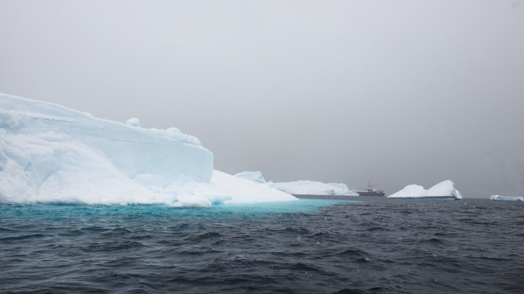 port-charcot-antarctica-travel-blog-solo-oceanwide-expeditons