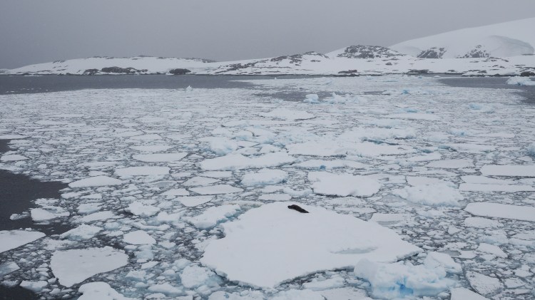 port-charcot-antarctica-travel-blog-solo-oceanwide-expeditons