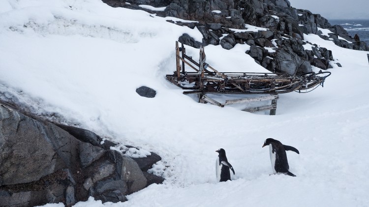 port-lockroy-antarctica-travel-blog-solo-oceanwide-expeditons
