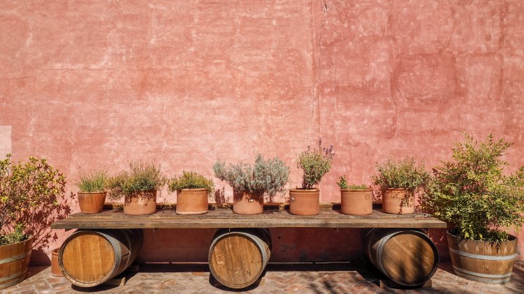 travel-blog-mendoza-uco-valley-argentina-malbec-travelling-the-world-solo