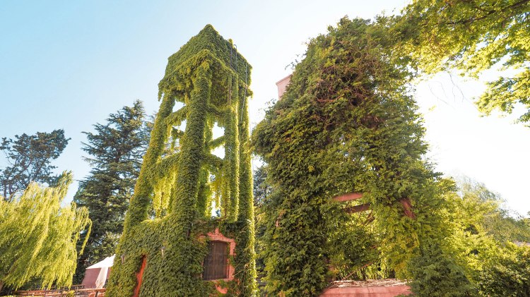 travel-blog-mendoza-uco-valley-argentina-malbec-travelling-the-world-solo