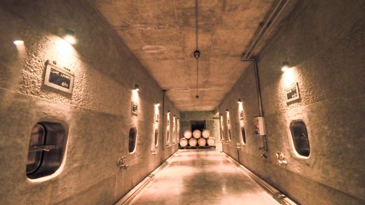 travel-blog-mendoza-uco-valley-argentina-malbec-travelling-the-world-solo