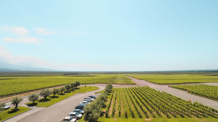 travel-blog-mendoza-uco-valley-argentina-malbec-travelling-the-world-solo