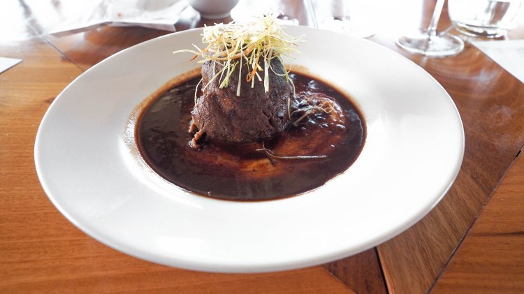 travel-blog-mendoza-uco-valley-argentina-malbec-travelling-the-world-solo