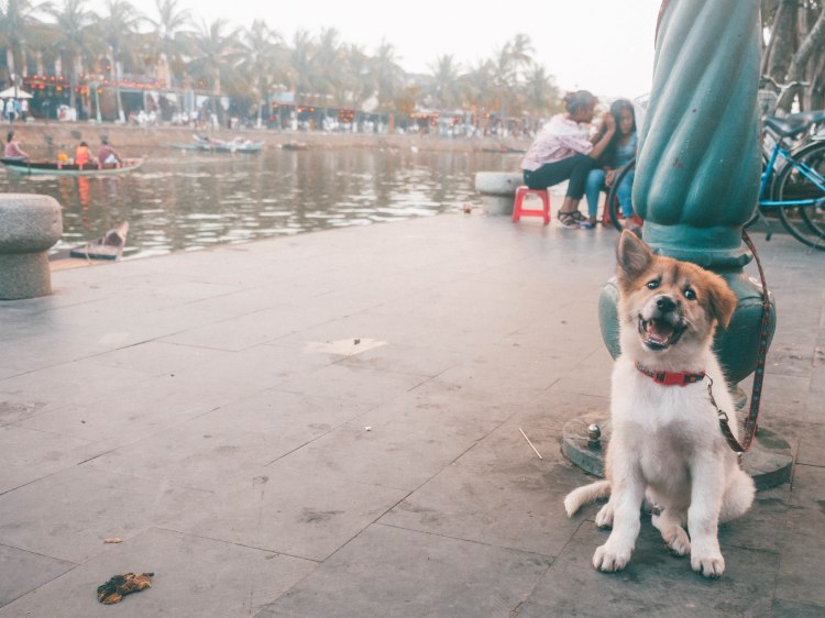 hoi-an-travel-blog-vietnam-travelling-the-world-solo