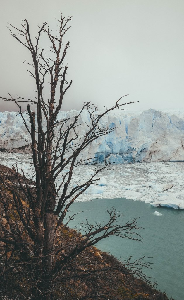 perito-moreno-glacier-argentina-patagonia-travel-blog-travelling-the-world-solo