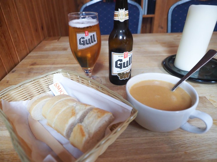 reykjavik-iceland-travel-blog-solo-female-travelling-the-world