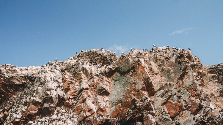 paracas-islas-ballestas-travel-blog-peru-backpacking-travelling-the-world-solo