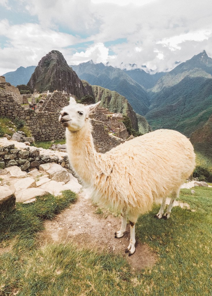 machu-picchu-travel-blog-last-minute-cusco-peru-backpacking-travelling-the-world-solo
