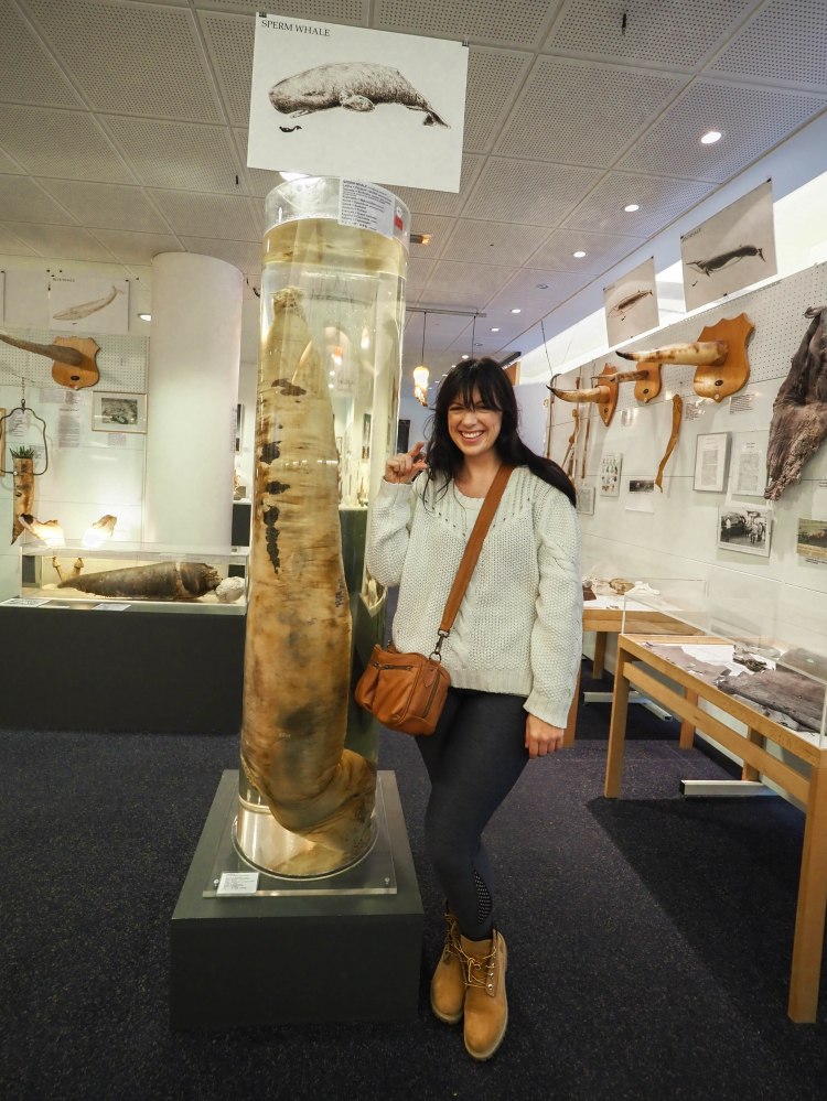 reykjavik-travel-blog-iceland-solo-female-travelling-the-world