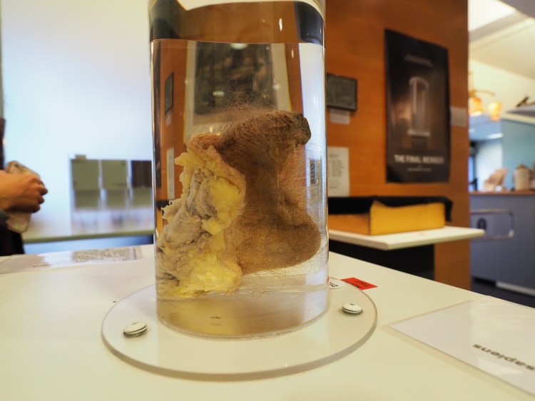 reykjavik-travel-blog-iceland-solo-female-travelling-the-world