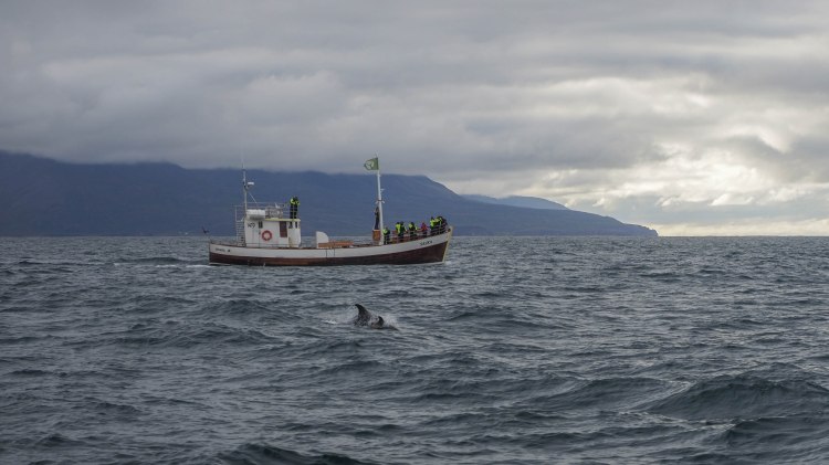 north-iceland-travel-blog-ring-road-self-drive-solo-female-travelling-the-world