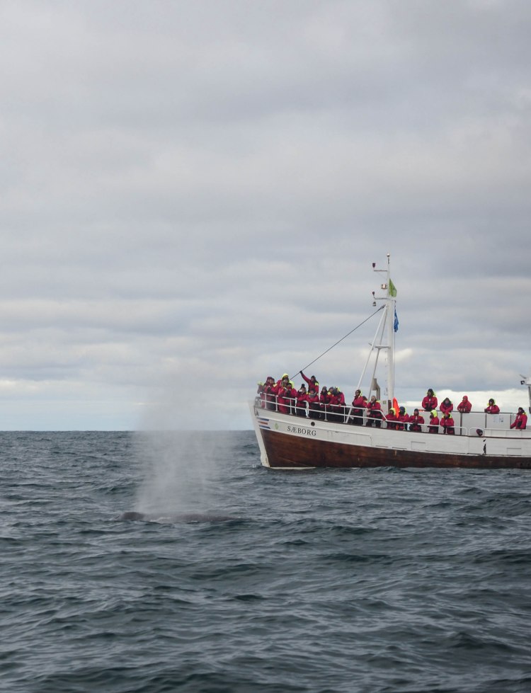 north-iceland-travel-blog-ring-road-self-drive-solo-female-travelling-the-world