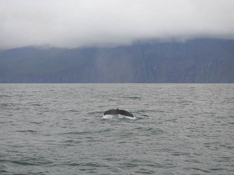 north-iceland-travel-blog-ring-road-self-drive-solo-female-travelling-the-world