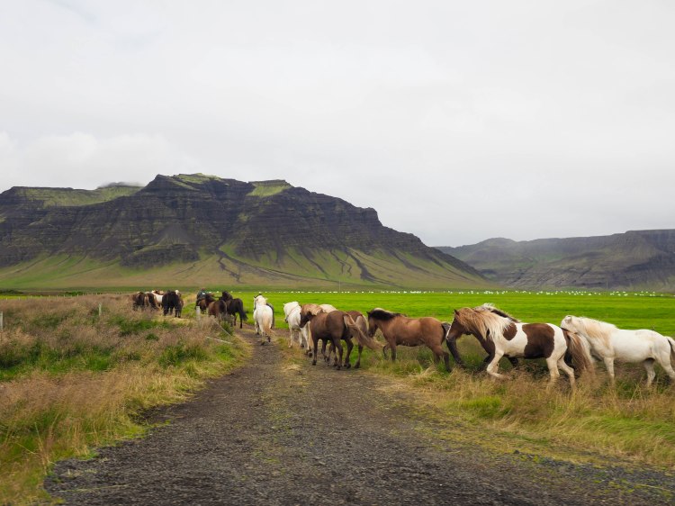 west-iceland-travel-blog-ring-road-self-drive-solo-female-travelling-the-world