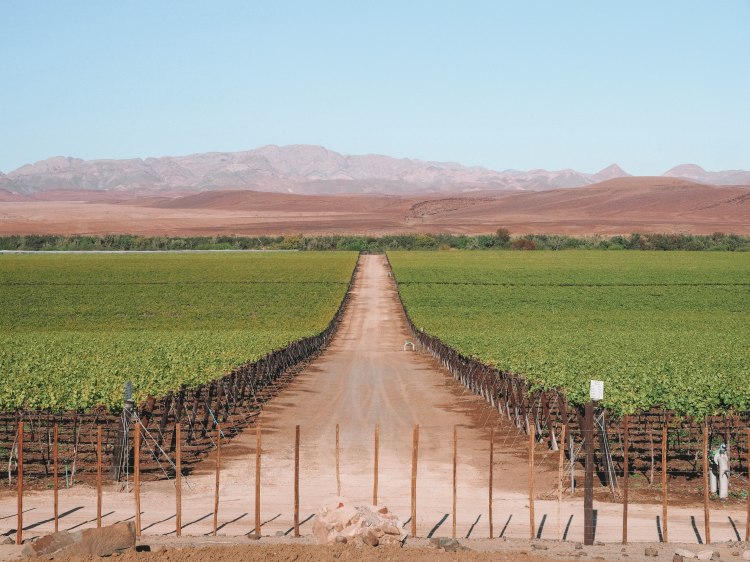 namibia-road-trip-blog-travel-orange-river-fish-river-canyon-cape-town-self-drive-solo