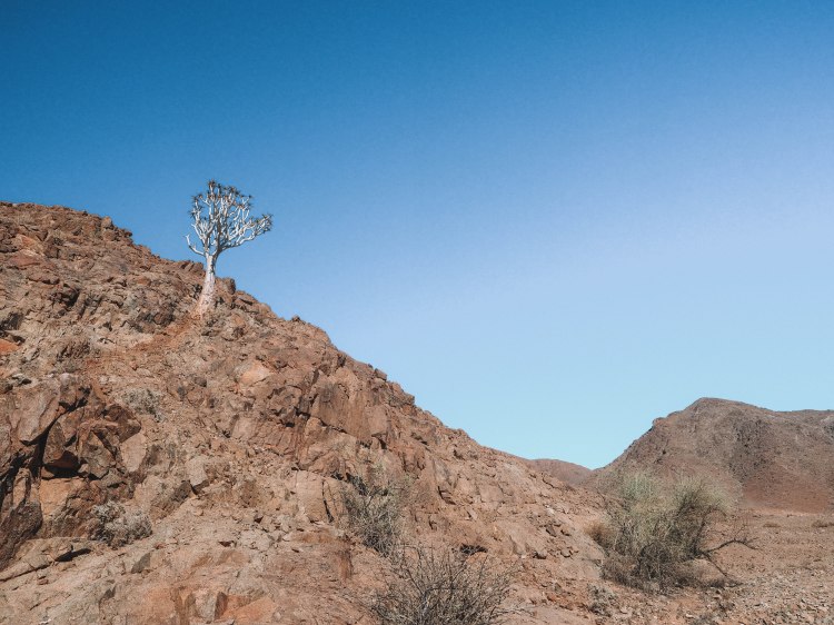 namibia-road-trip-blog-travel-orange-river-fish-river-canyon-cape-town-self-drive-solo