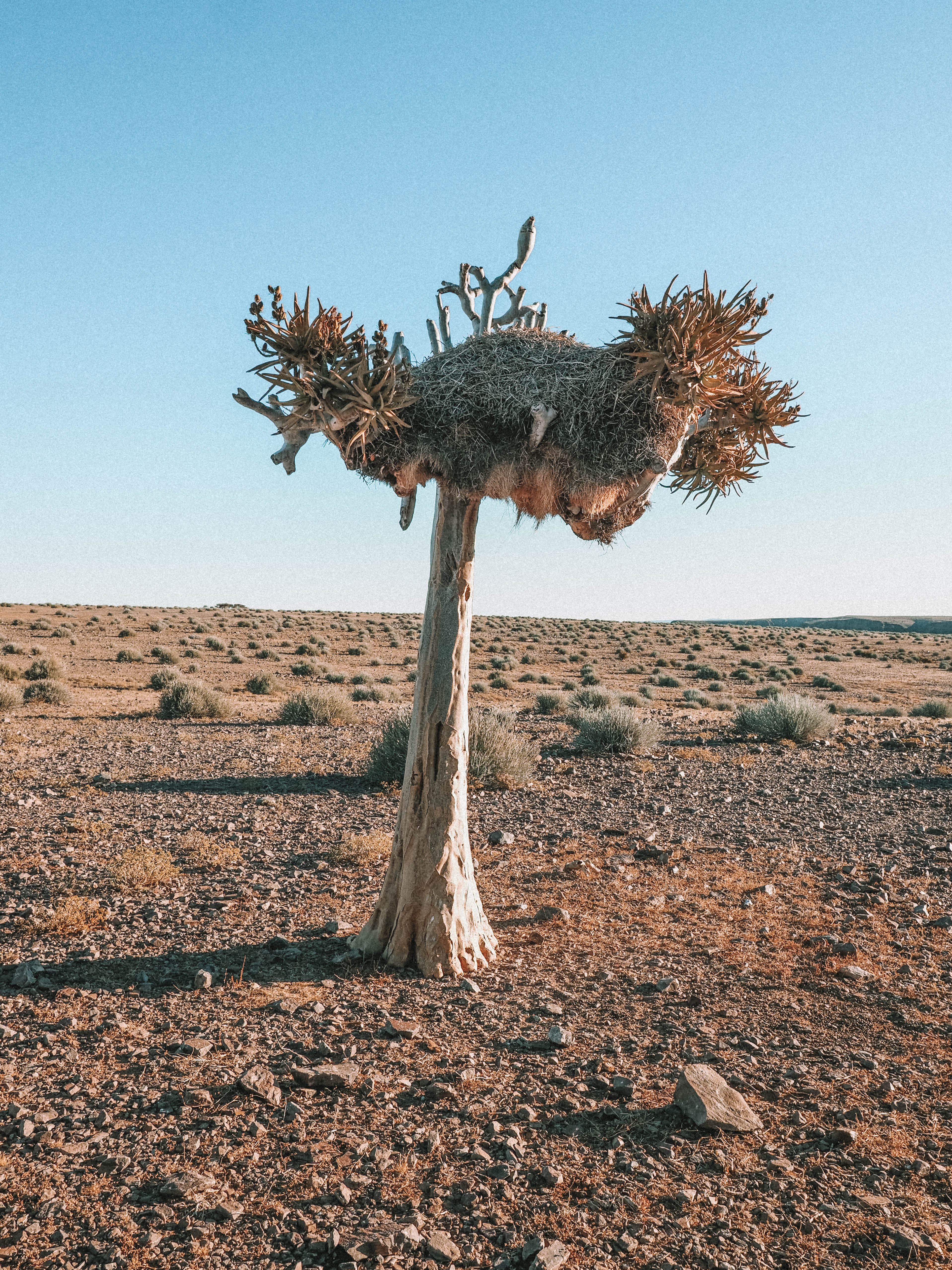 namibia-road-trip-blog-travel-fish-river-canyon-lodge-self-drive-solo