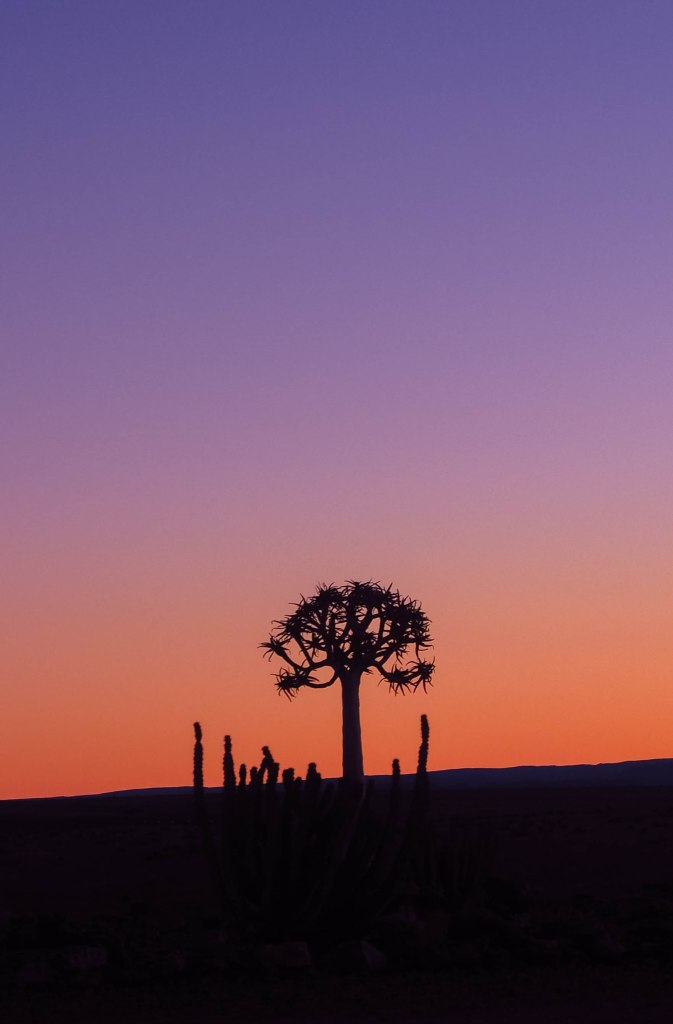 namibia-road-trip-blog-travel-fish-river-canyon-lodge-self-drive-solo